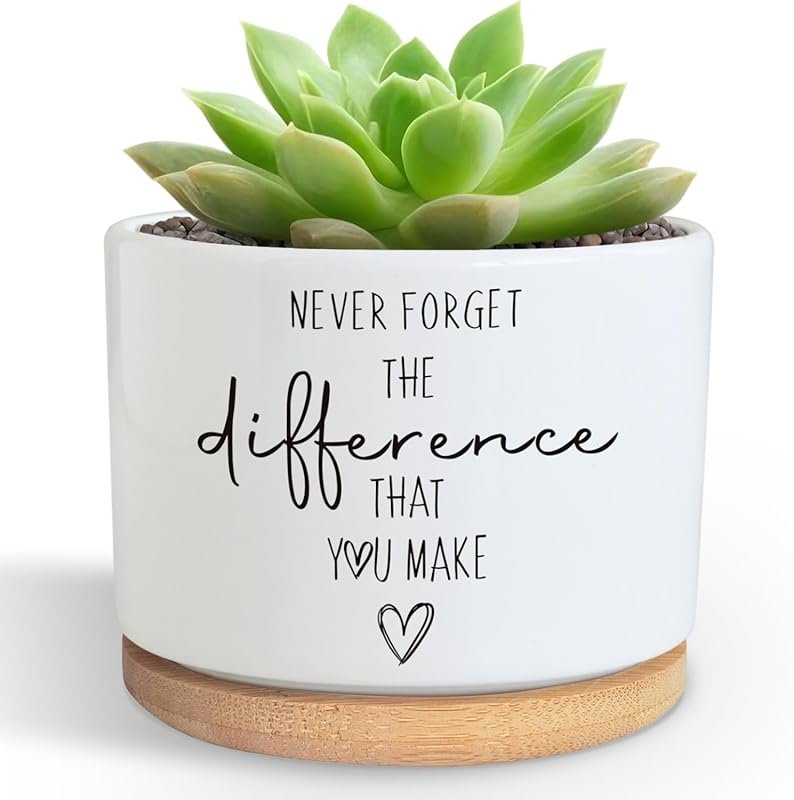 DOFAFALA Funny Succulent Flower Pot Planter Gifts for Plant Lovers Wom
