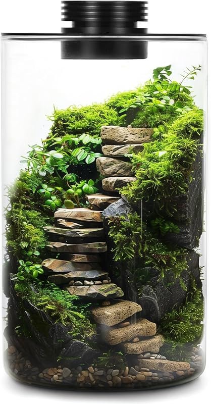 Glass Desktop Terrarium with Grow Light for Succulents, Moss, Gardens,