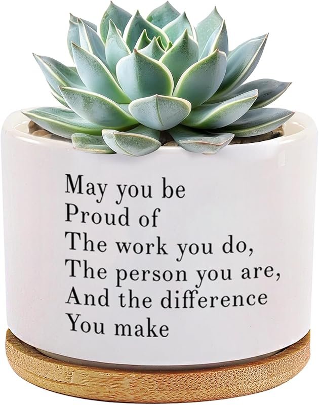 3.5 Inch White Ceramic Succulent Pot with Bamboo Tray - Inspirational 