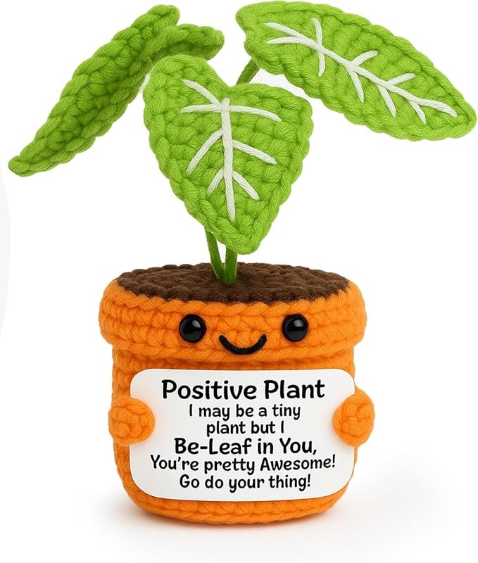 Crochet Positive Plant Inspirational Gifts - Handmade Knit Potted Desk
