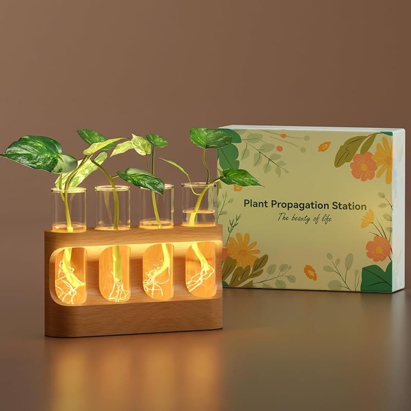 Plant Propagation Station: Wooden Stand, 9-Level Dimmable LED, 4 Glass