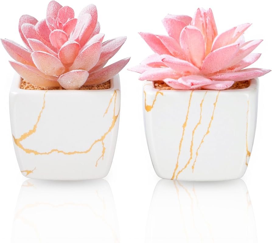 2-Piece Small Artificial Succulent Plants in White Ceramic Pots for Of