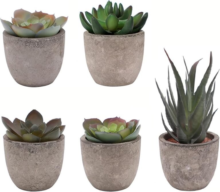 Top 10 Succulent Desk Plants of 2026: Expert Picks