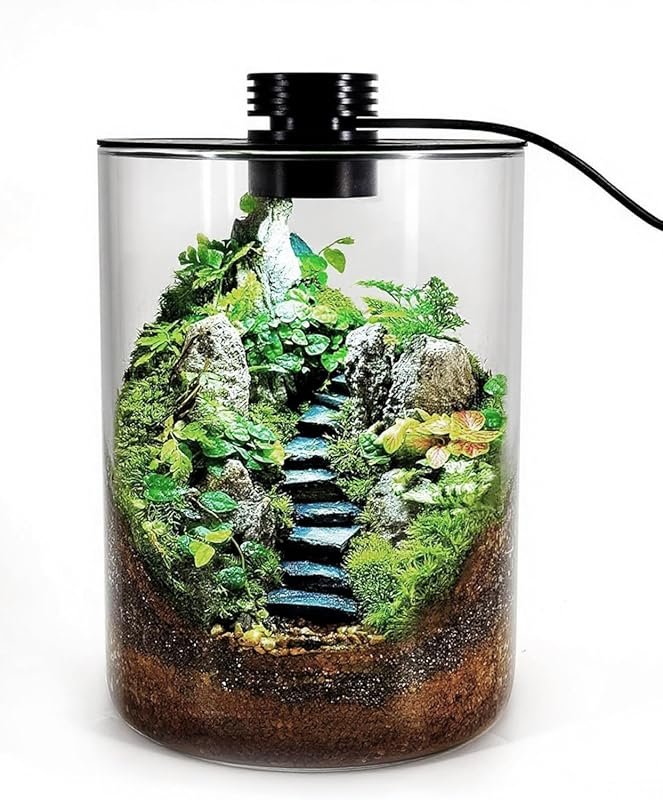 7.5x5.9 Desktop Glass Terrarium with Grow Light for Succulents, Moss, 