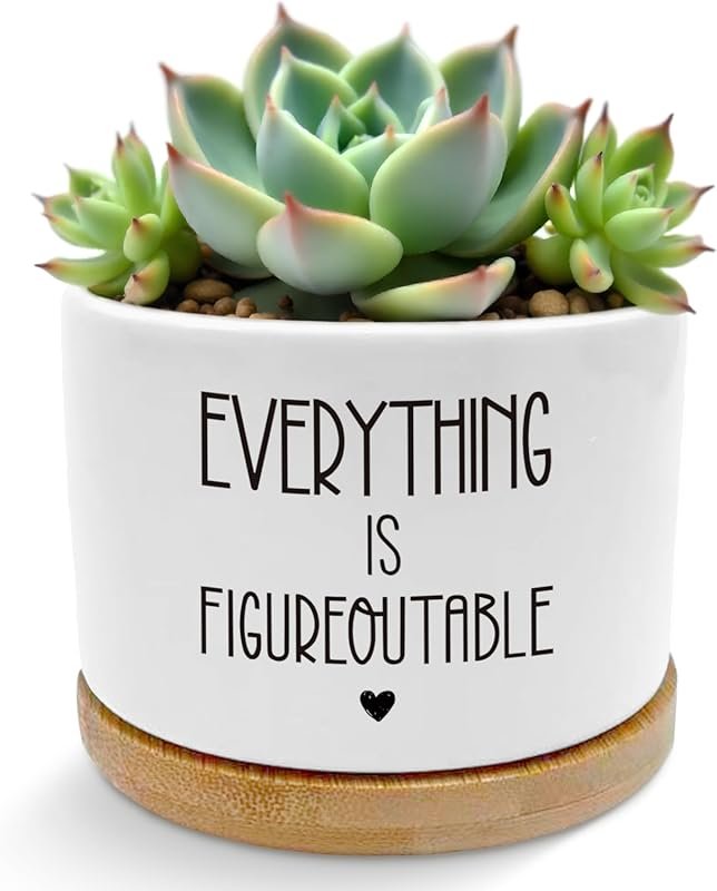Everything is Figureoutable Plant Pots: Motivational Gifts for Women M