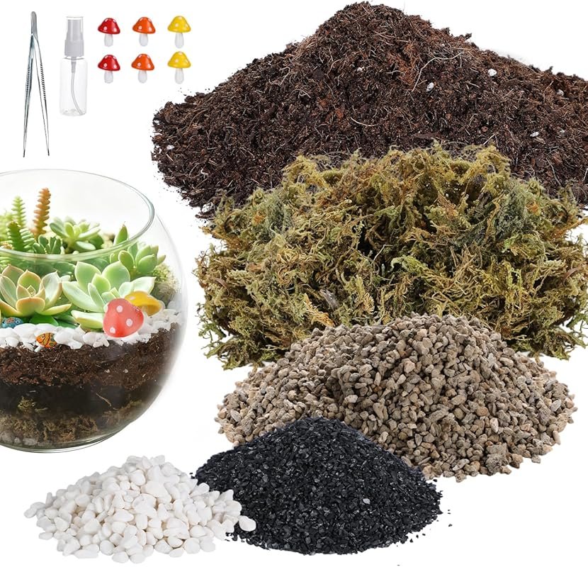 Terrarium Kit for Adults for Succulent, Cactus, with Pumice, Moss, Soi