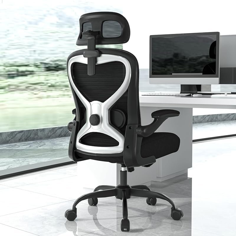 Ergonomic Mesh Office Chair: Headrest, Lumbar Support, Thick Cushion, 