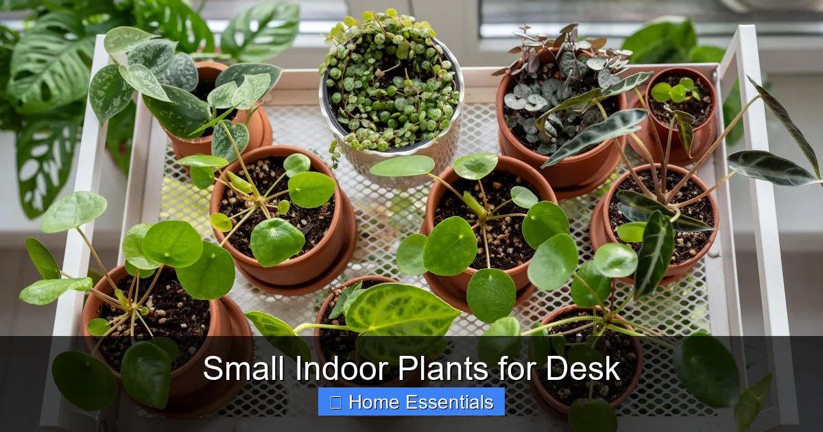 Small Indoor Plants for Desk