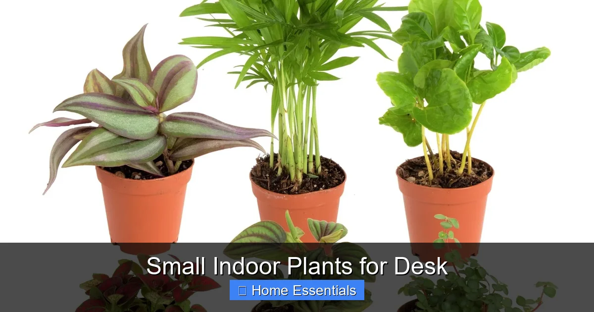 Small Indoor Plants for Desk