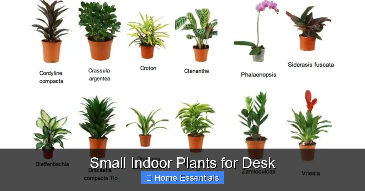 Small Indoor Plants for Desk