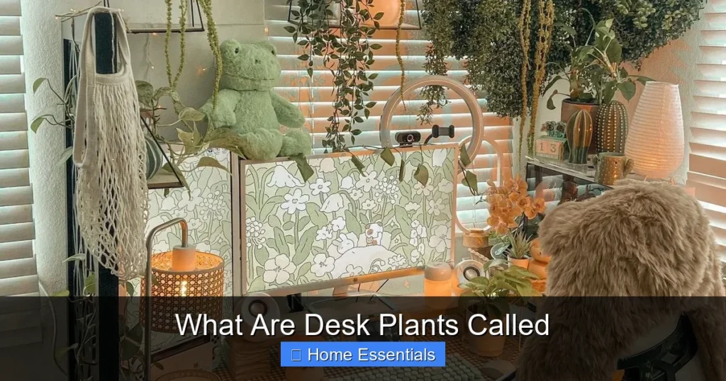 What Are Desk Plants Called