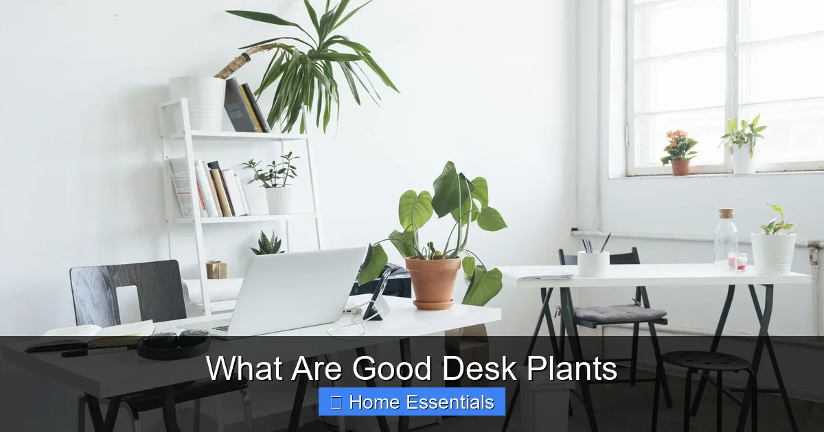 What Are Good Desk Plants