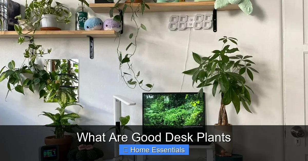 What Are Good Desk Plants