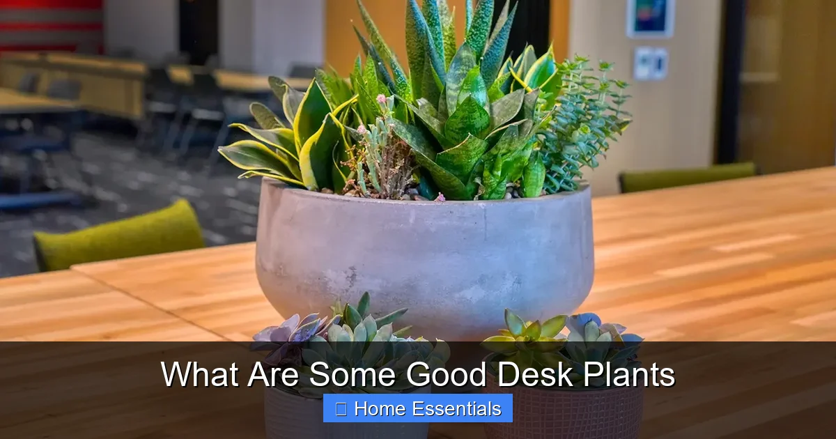 What Are Some Good Desk Plants