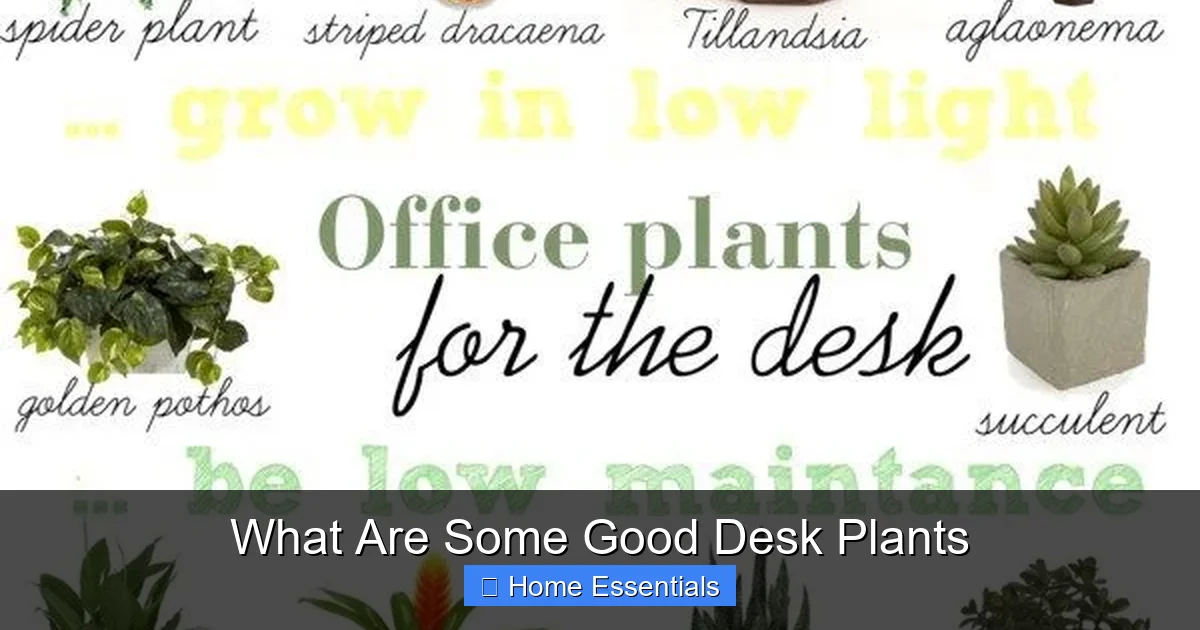 What Are Some Good Desk Plants