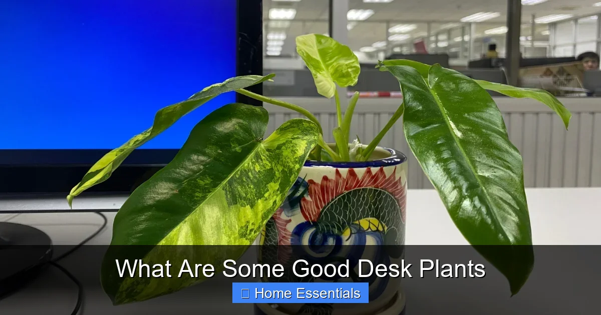 What Are Some Good Desk Plants