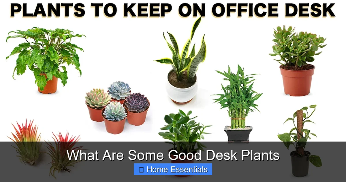 What Are Some Good Desk Plants
