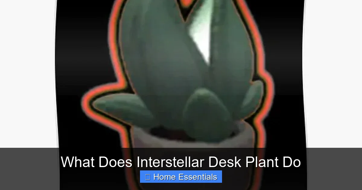 What Does Interstellar Desk Plant Do
