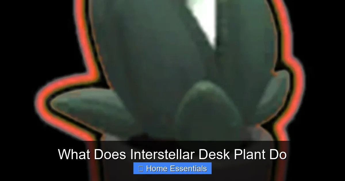What Does Interstellar Desk Plant Do