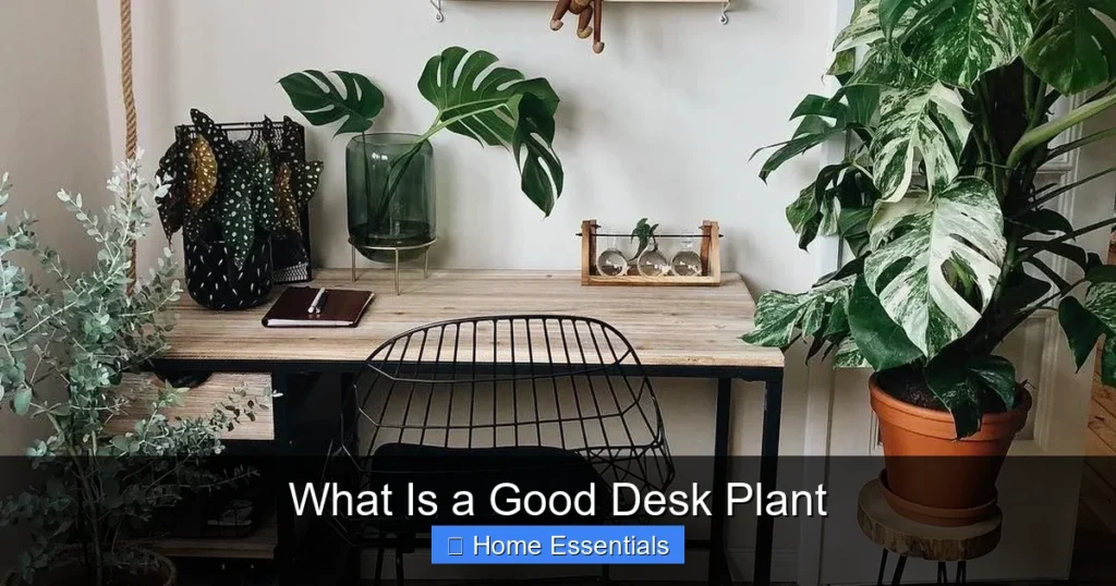 What Is a Good Desk Plant