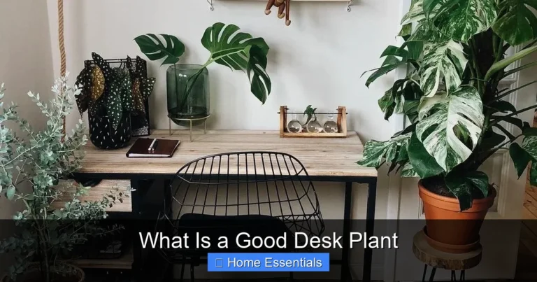 What Is a Good Desk Plant
