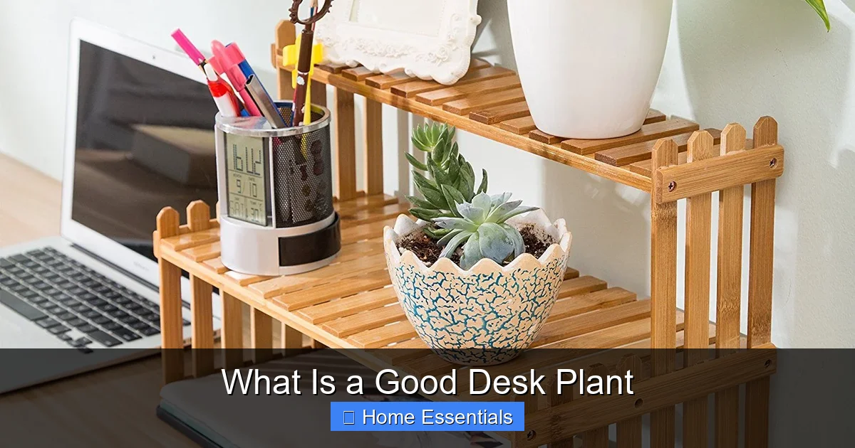 What Is a Good Desk Plant