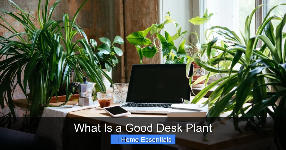 What Is a Good Desk Plant