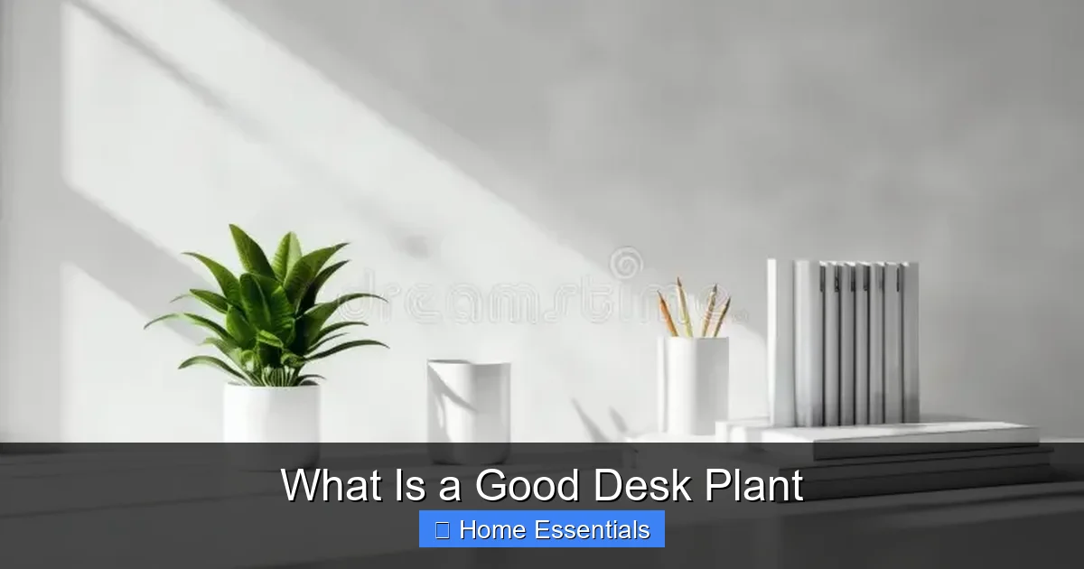 What Is a Good Desk Plant