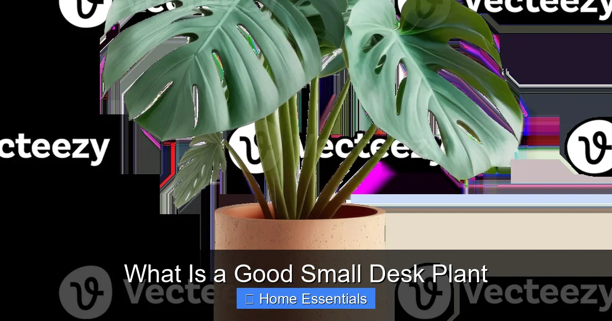 What Is a Good Small Desk Plant