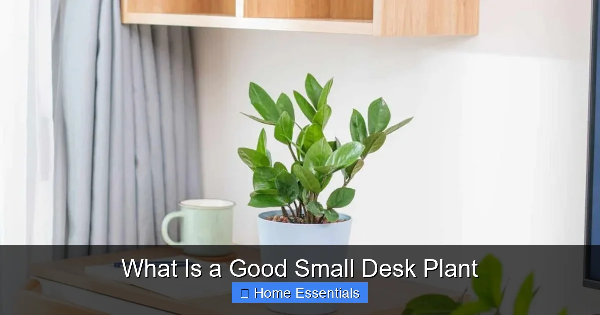 What Is a Good Small Desk Plant