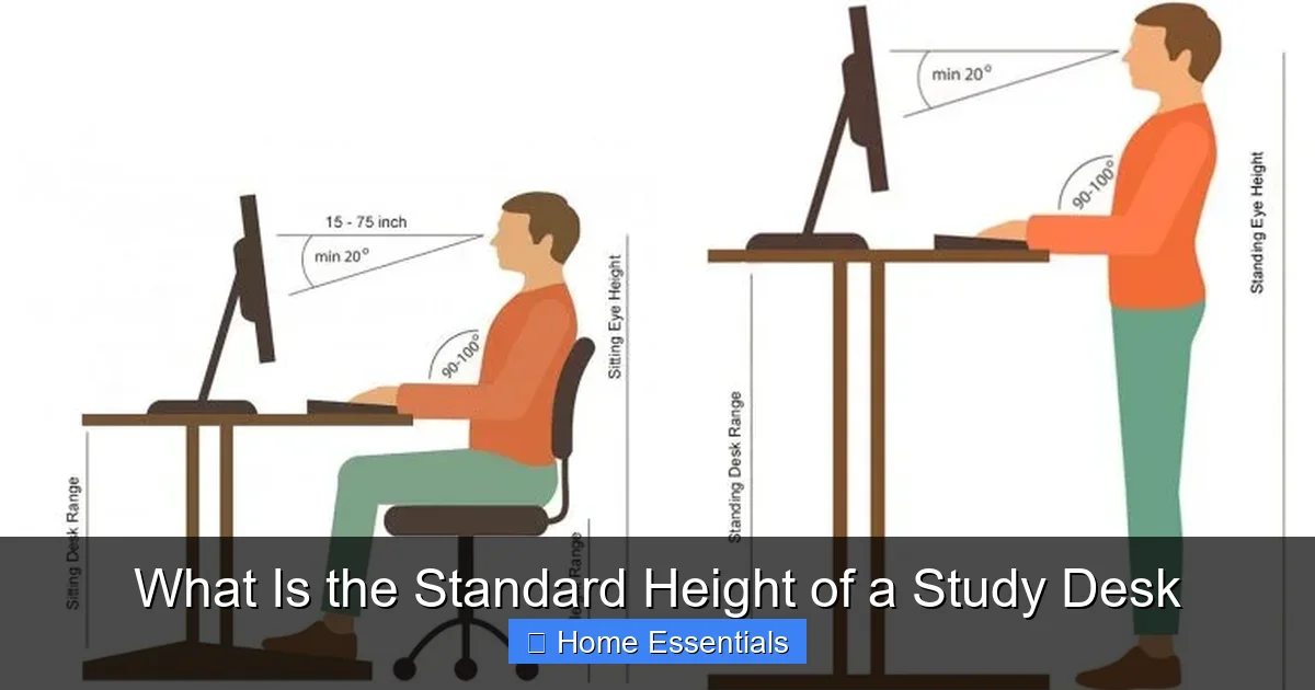 What Is the Standard Height of a Study Desk