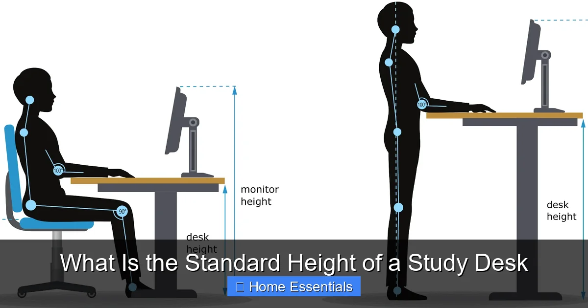 What Is the Standard Height of a Study Desk