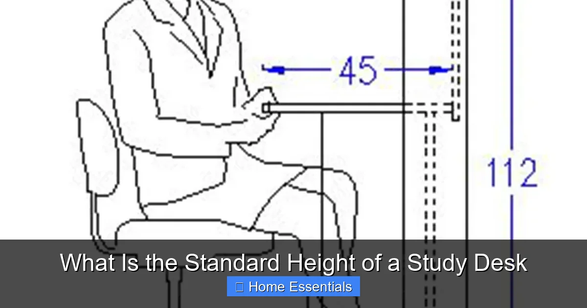 What Is the Standard Height of a Study Desk