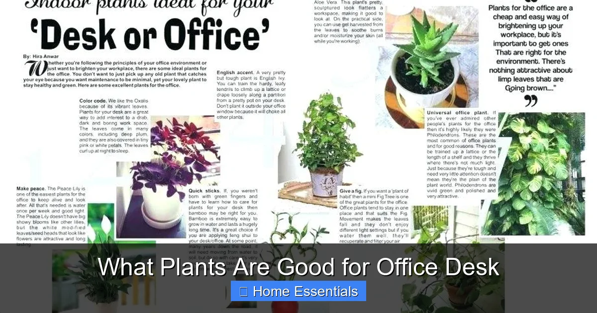 What Plants Are Good for Office Desk