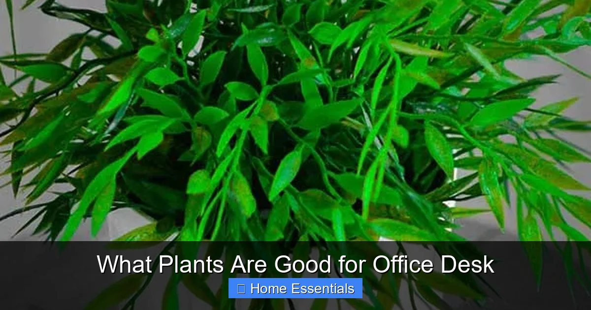 What Plants Are Good for Office Desk