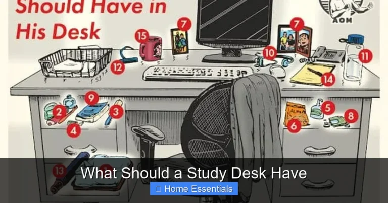 What Should a Study Desk Have