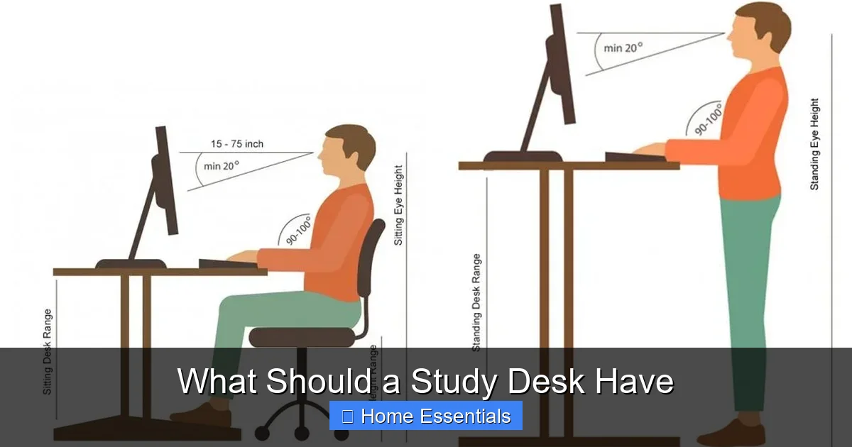 What Should a Study Desk Have