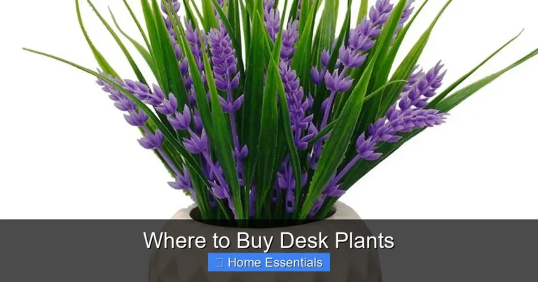 Where to Buy Desk Plants