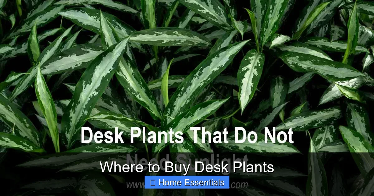 Where to Buy Desk Plants