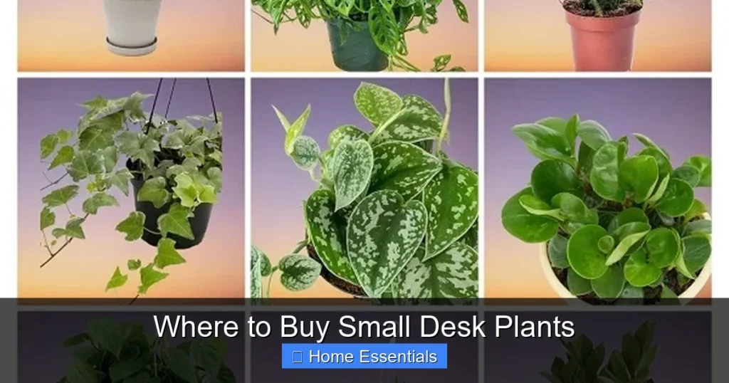 Where to Buy Small Desk Plants