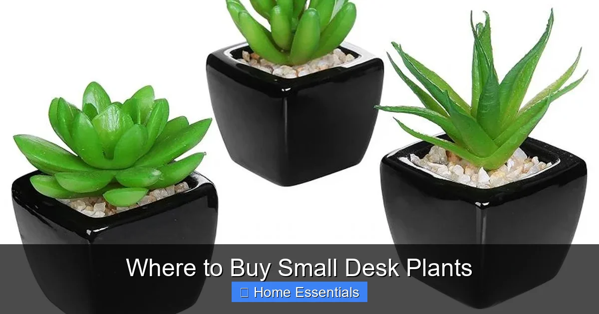 Where to Buy Small Desk Plants
