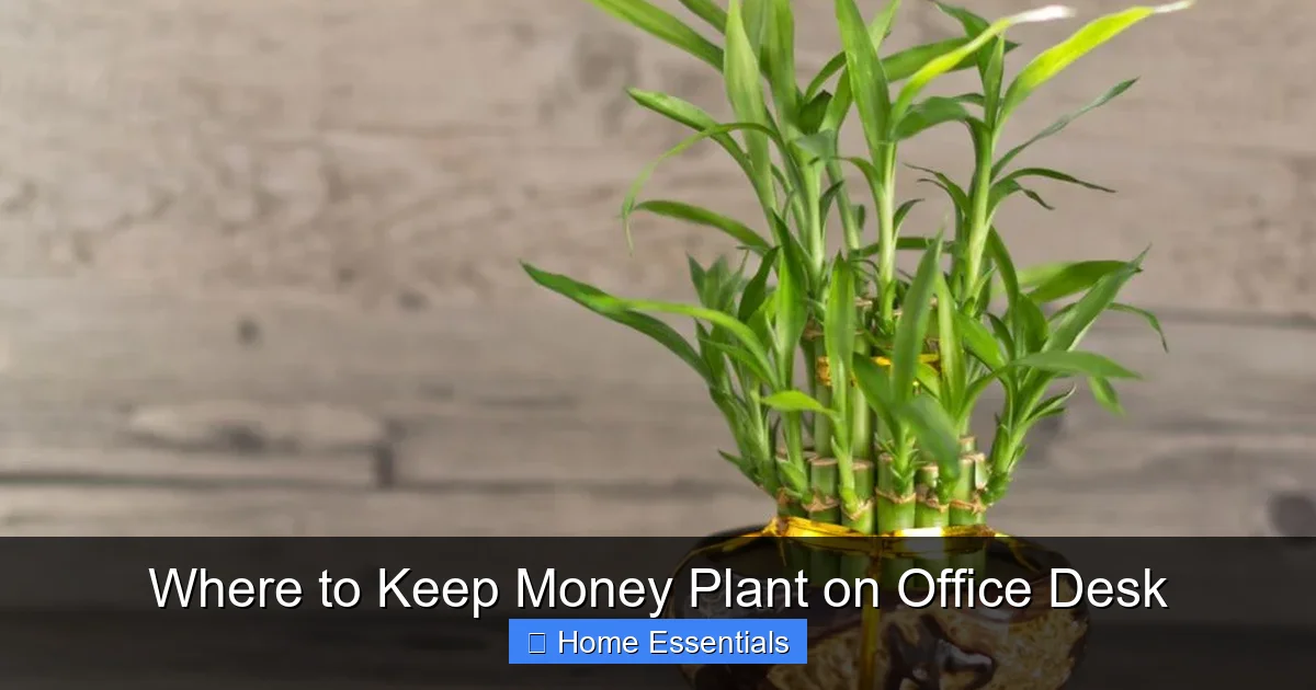 Where to Keep Money Plant on Office Desk