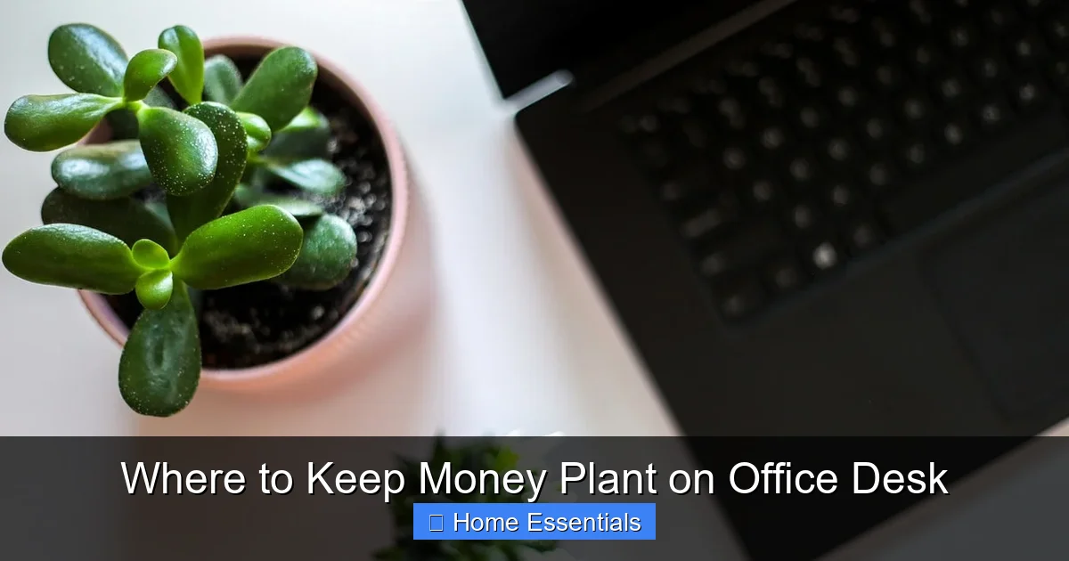 Where to Keep Money Plant on Office Desk