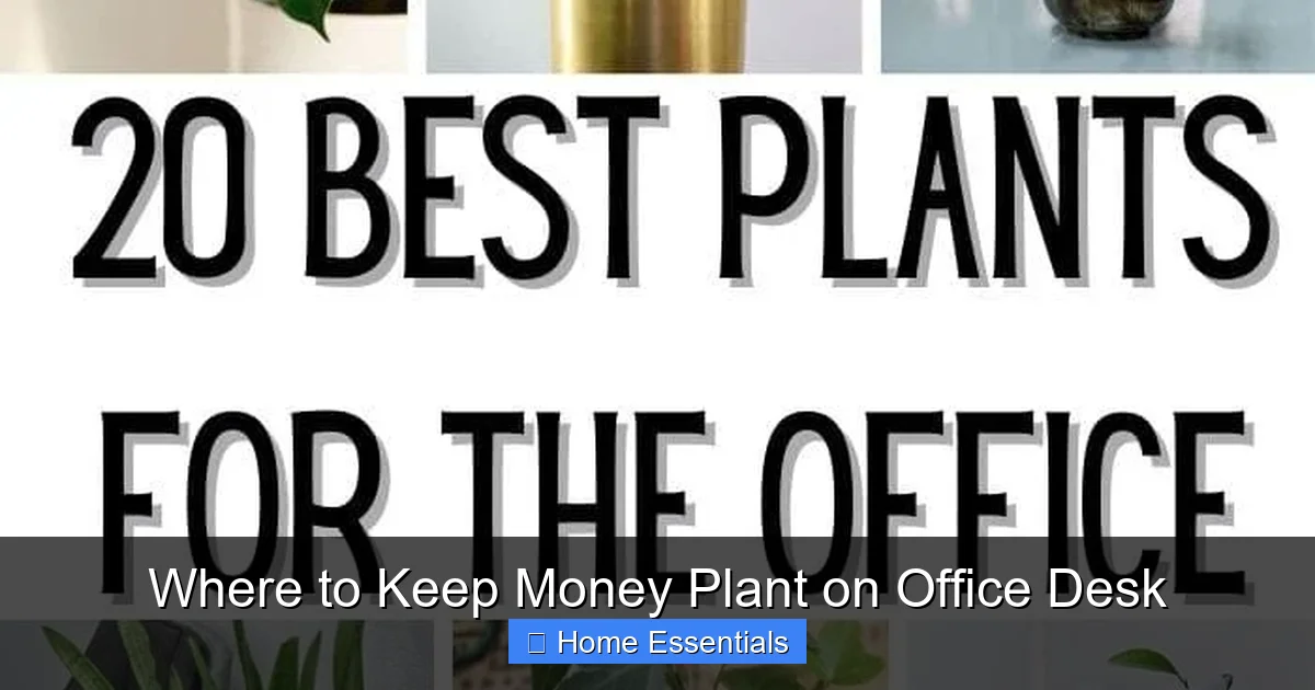 Where to Keep Money Plant on Office Desk