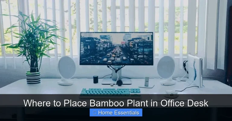 Where to Place Bamboo Plant in Office Desk