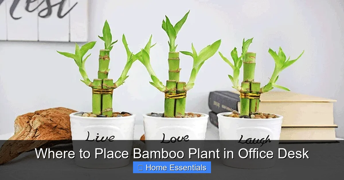 Where to Place Bamboo Plant in Office Desk