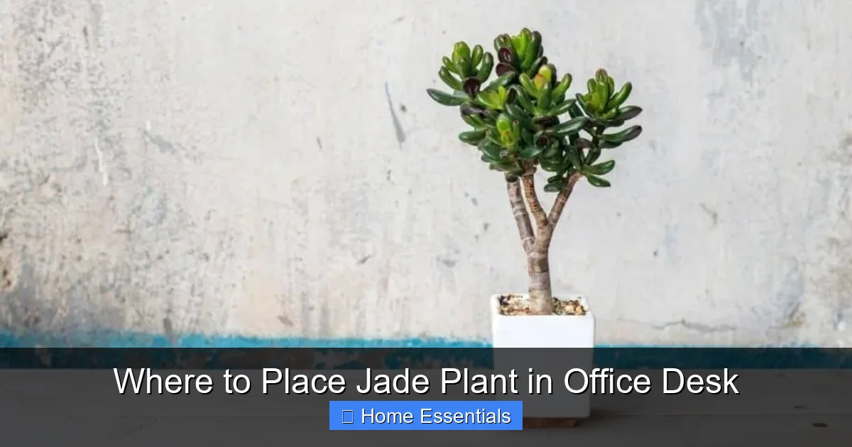 Where to Place Jade Plant in Office Desk