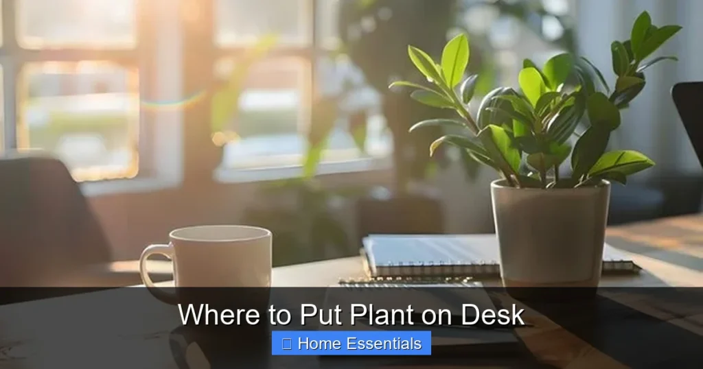 Where to Put Plant on Desk