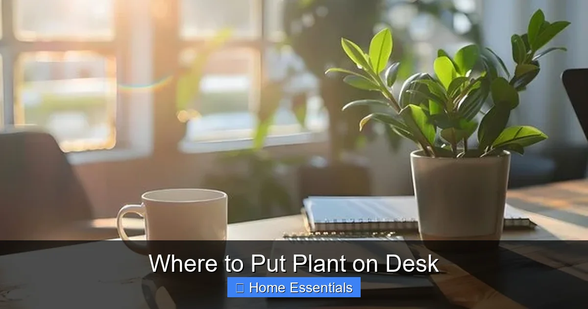 Where to Put Plant on Desk