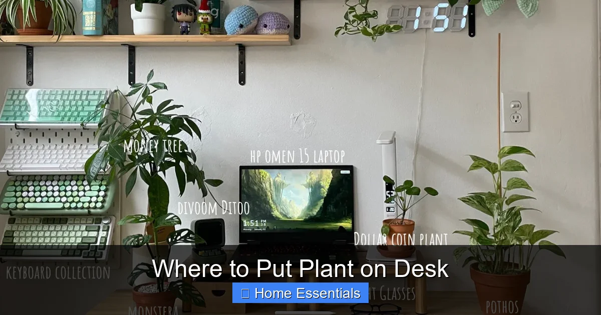 Where to Put Plant on Desk